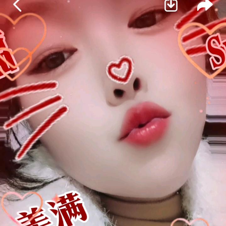 🌹安静🌹