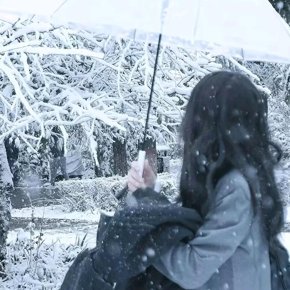 ꫛ℘℘ꫀꪄꪶ .