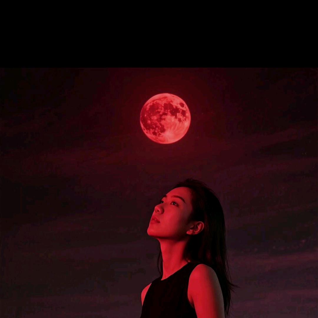 晨曦✨