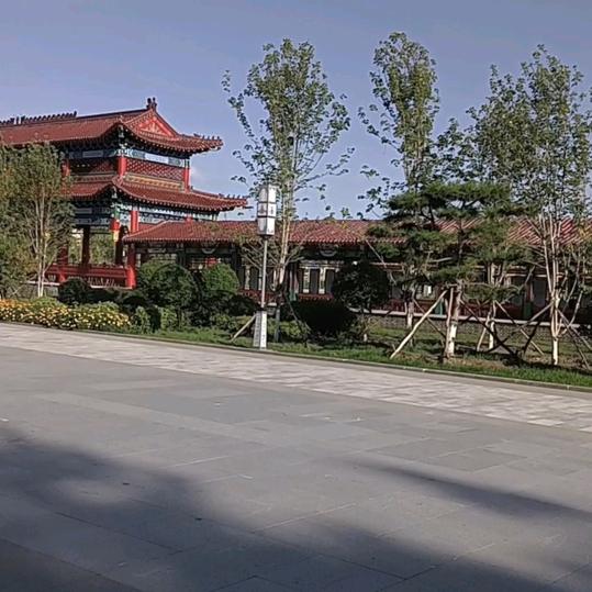 红珊瑚