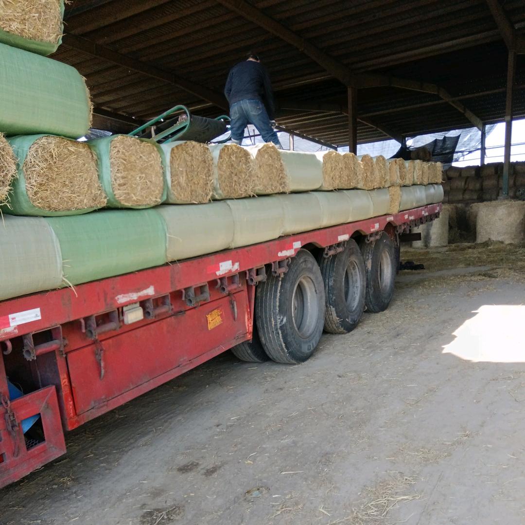 安徽牛羊饲草加工