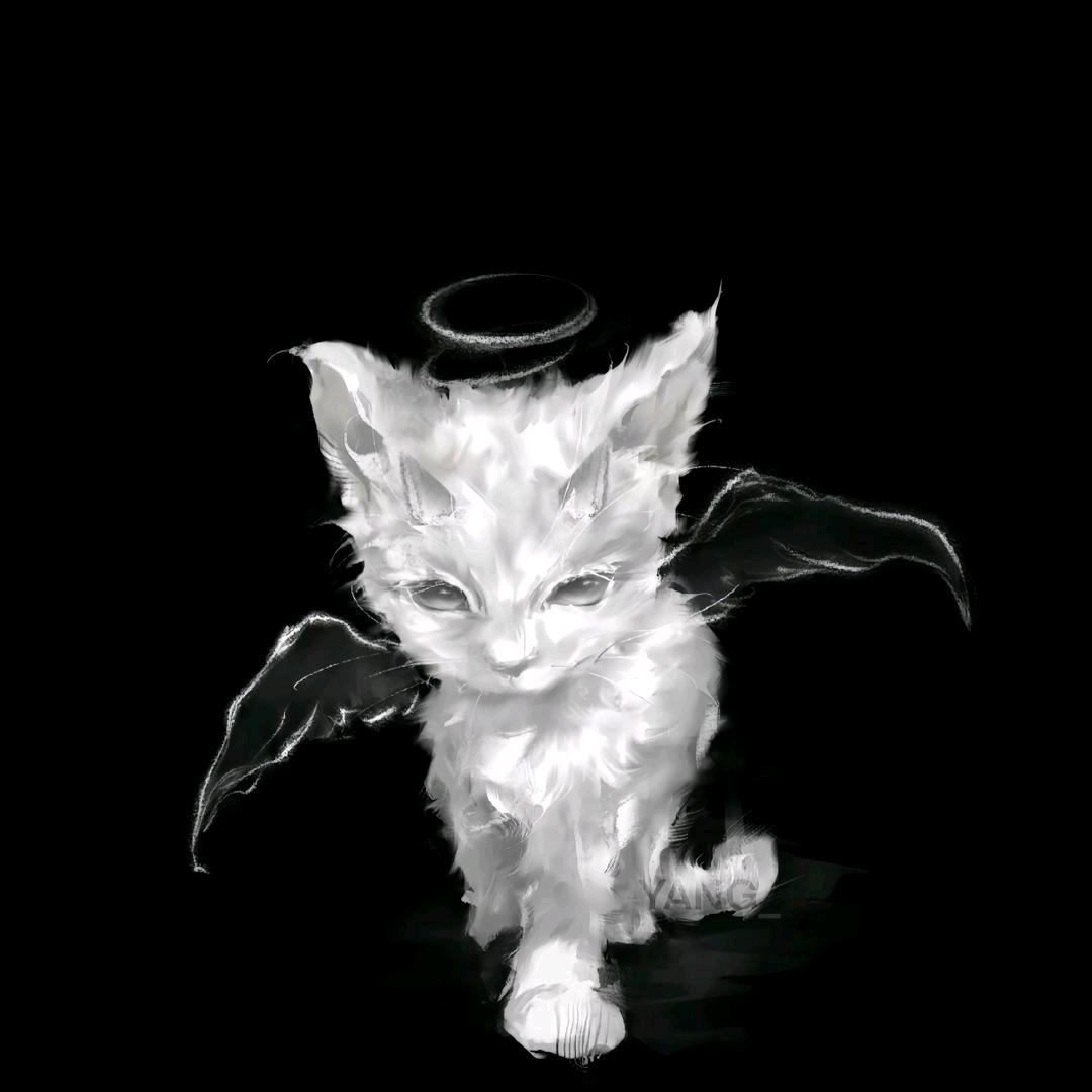 𝑭𝒂𝒕𝑹𝒍🧸