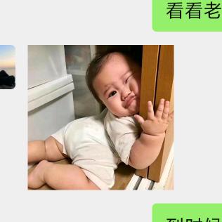 花好月又圆