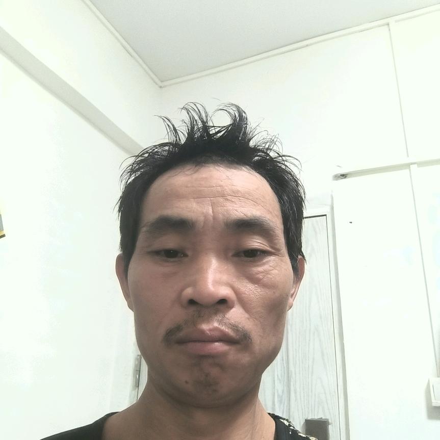 卜建红bjh17772361484