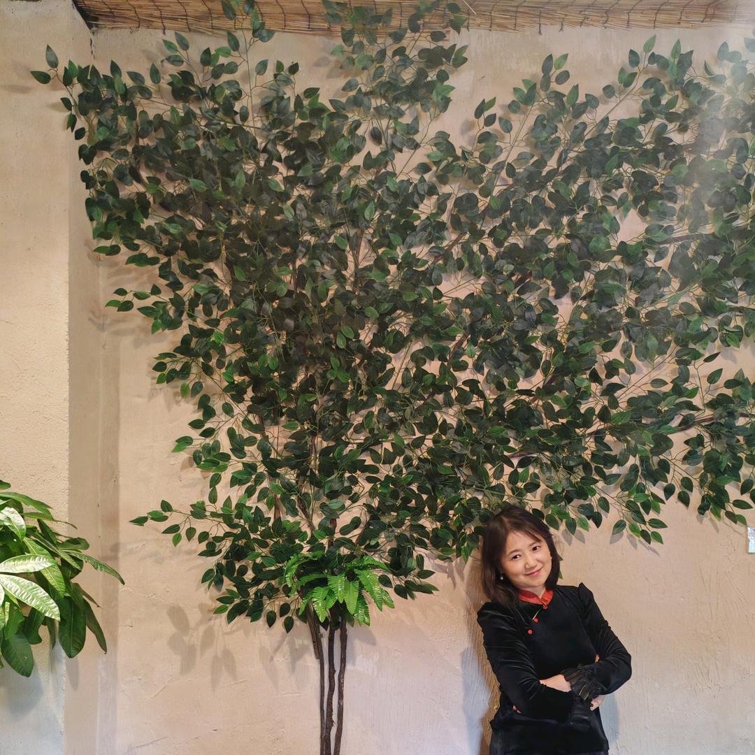 牛埠古月（zH）