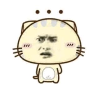 公生