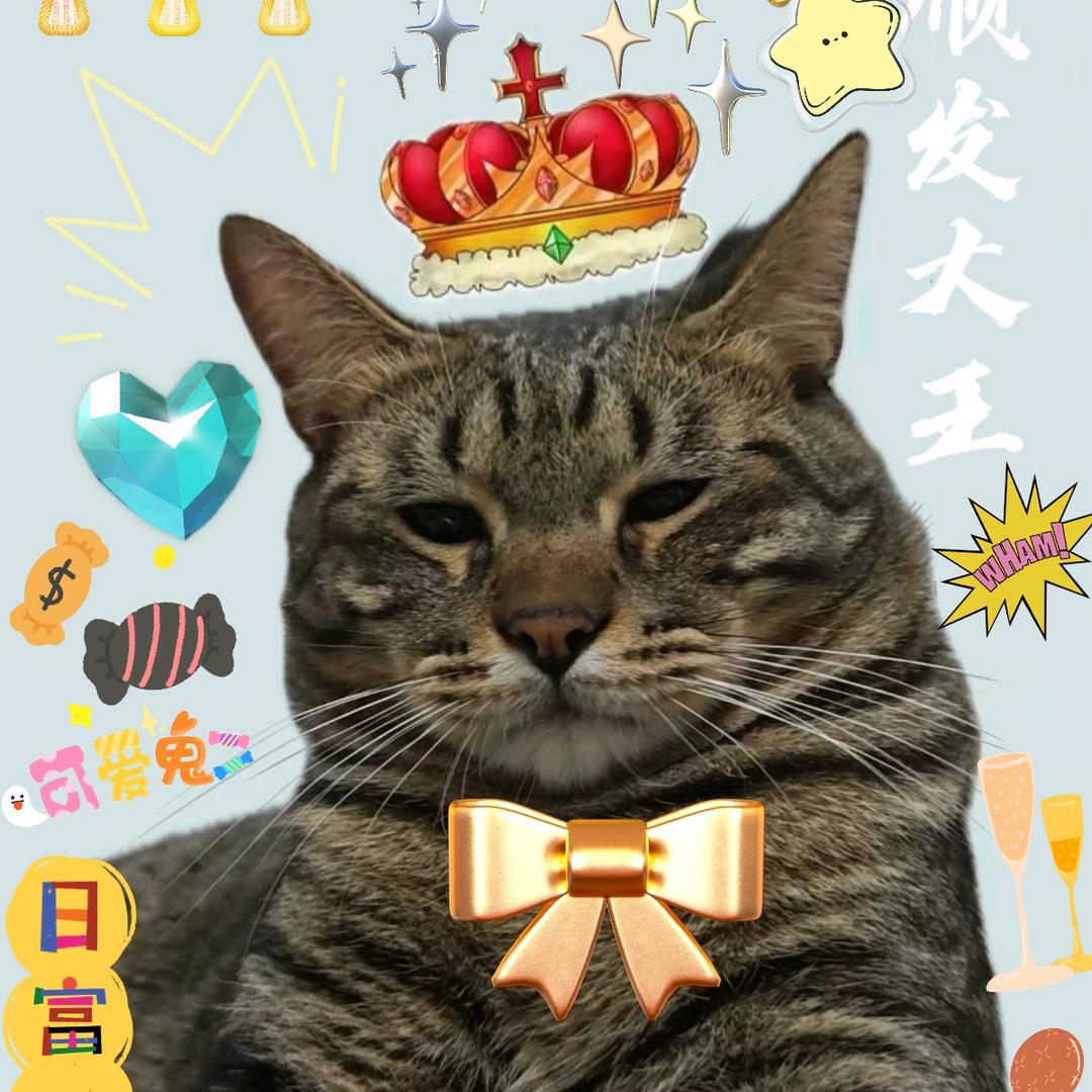 予。（王之蔑视！）