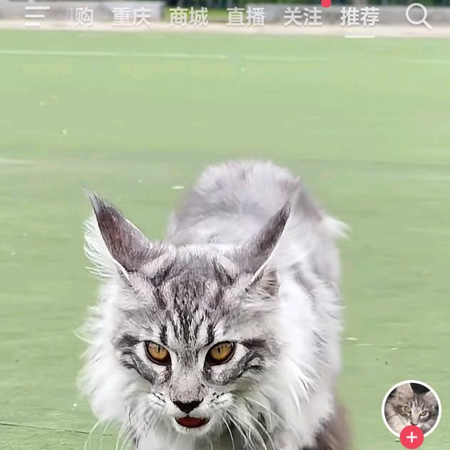用户4673794542494343