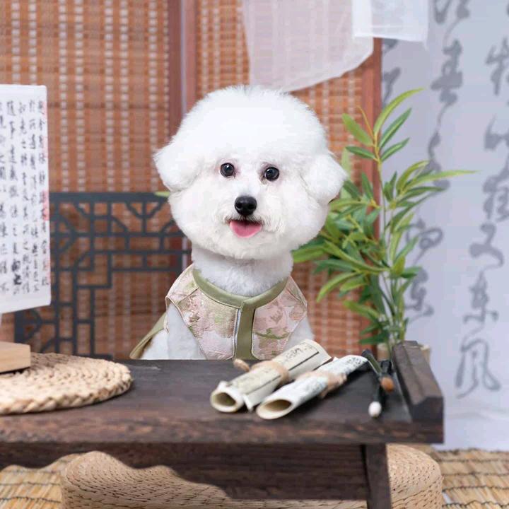 小可可