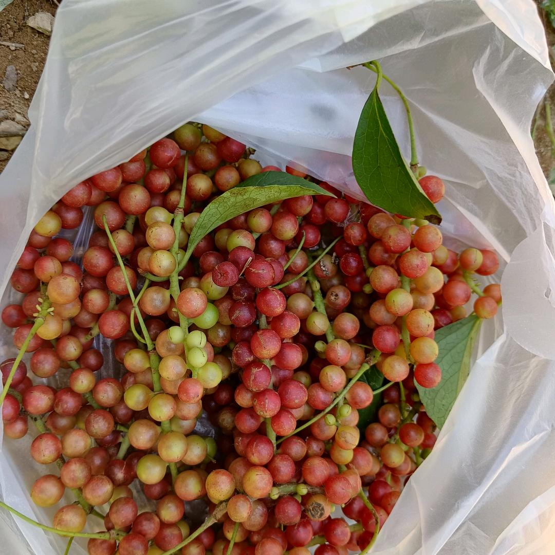 回忆再美也是曾经