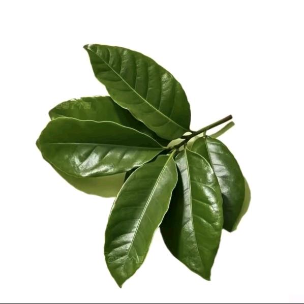 烤冷面加糖加醋🇨🇳