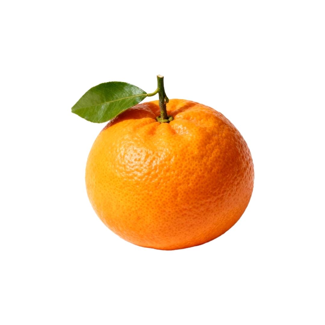 咬开果冻橙的冬🍊