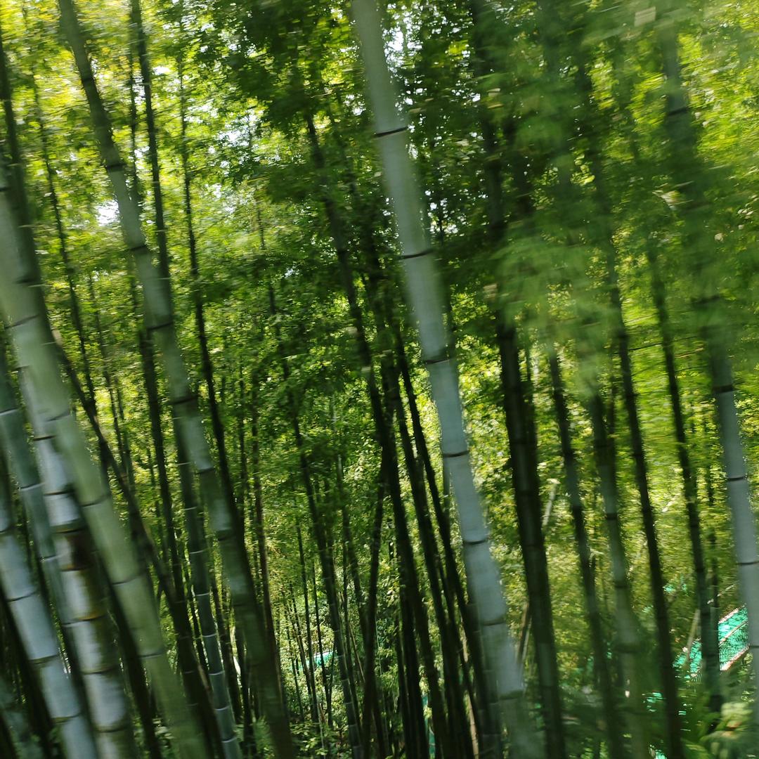 不吹不黑