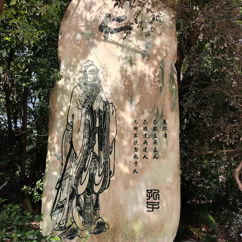 维你而来