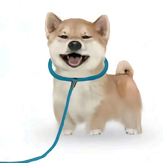 派大星重度依赖　  　　　 　　  🪳