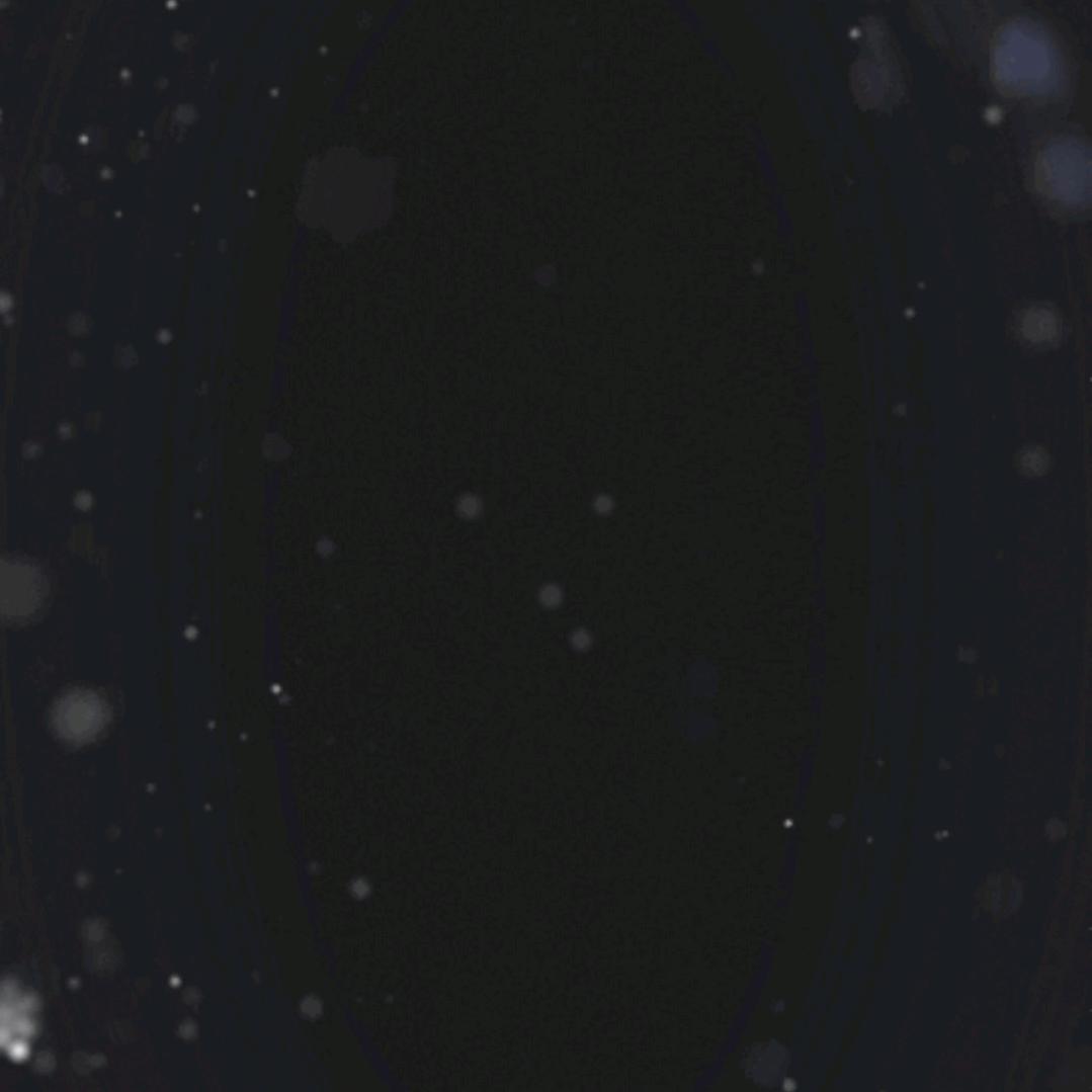 宇宙第一宠主播👀👀👀