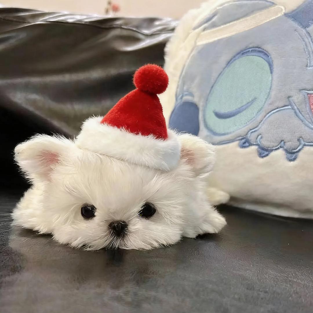 莫辜负