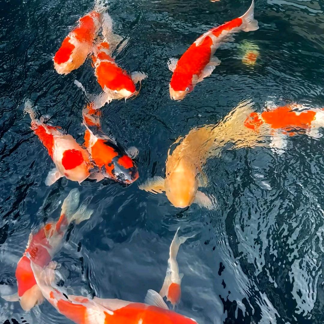 @良缘