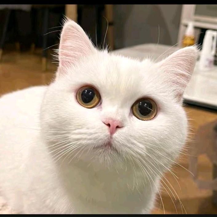 转运纪实故事会