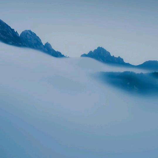 炮歌