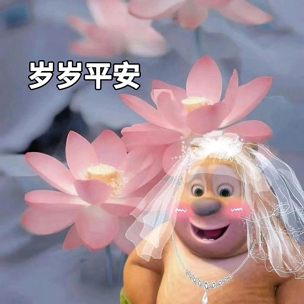 谷岛酱~
