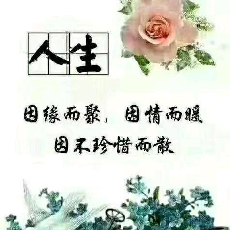 再见只是陌生人
