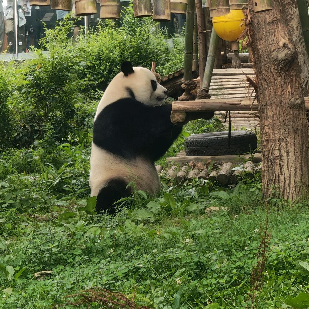 火灭心灭