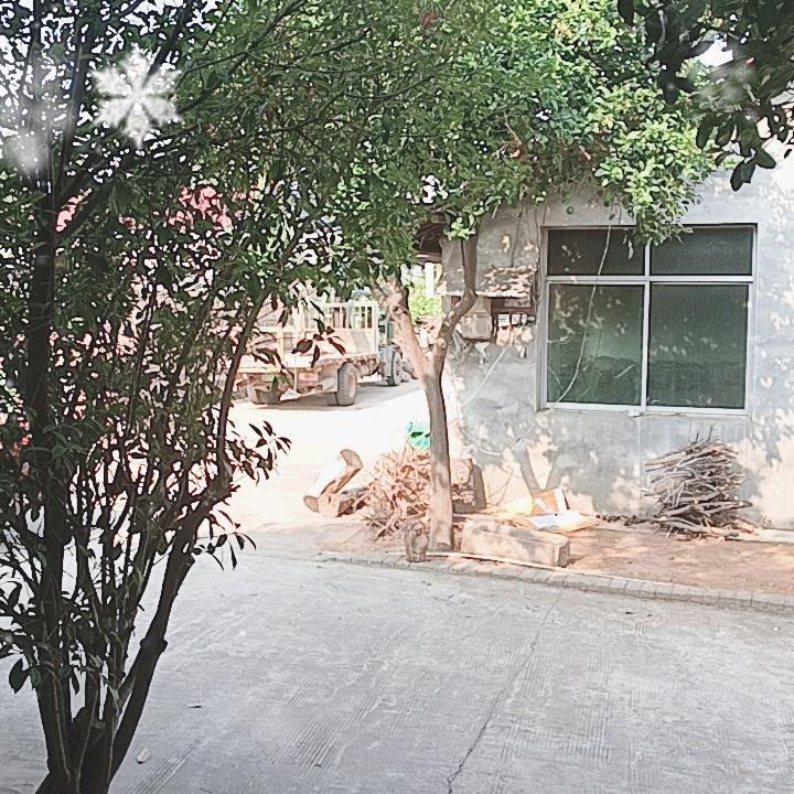 快乐每一天