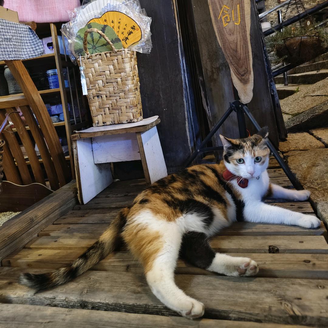 牛爷爷cos性感猫娘勾引隔壁人妻壮壮妈