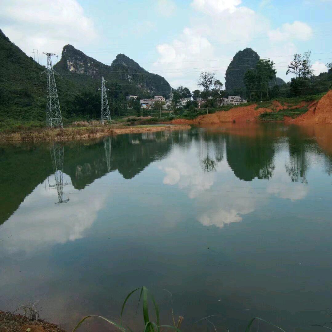 晚点…………遇见…………