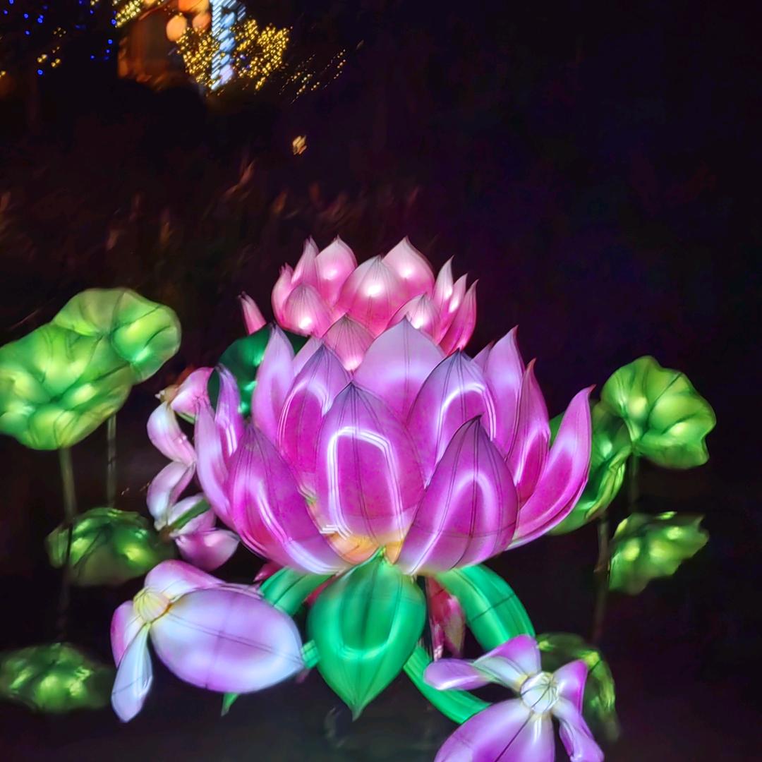 阿方🌿🌸