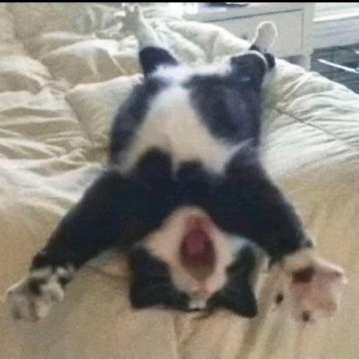 旧货不旧