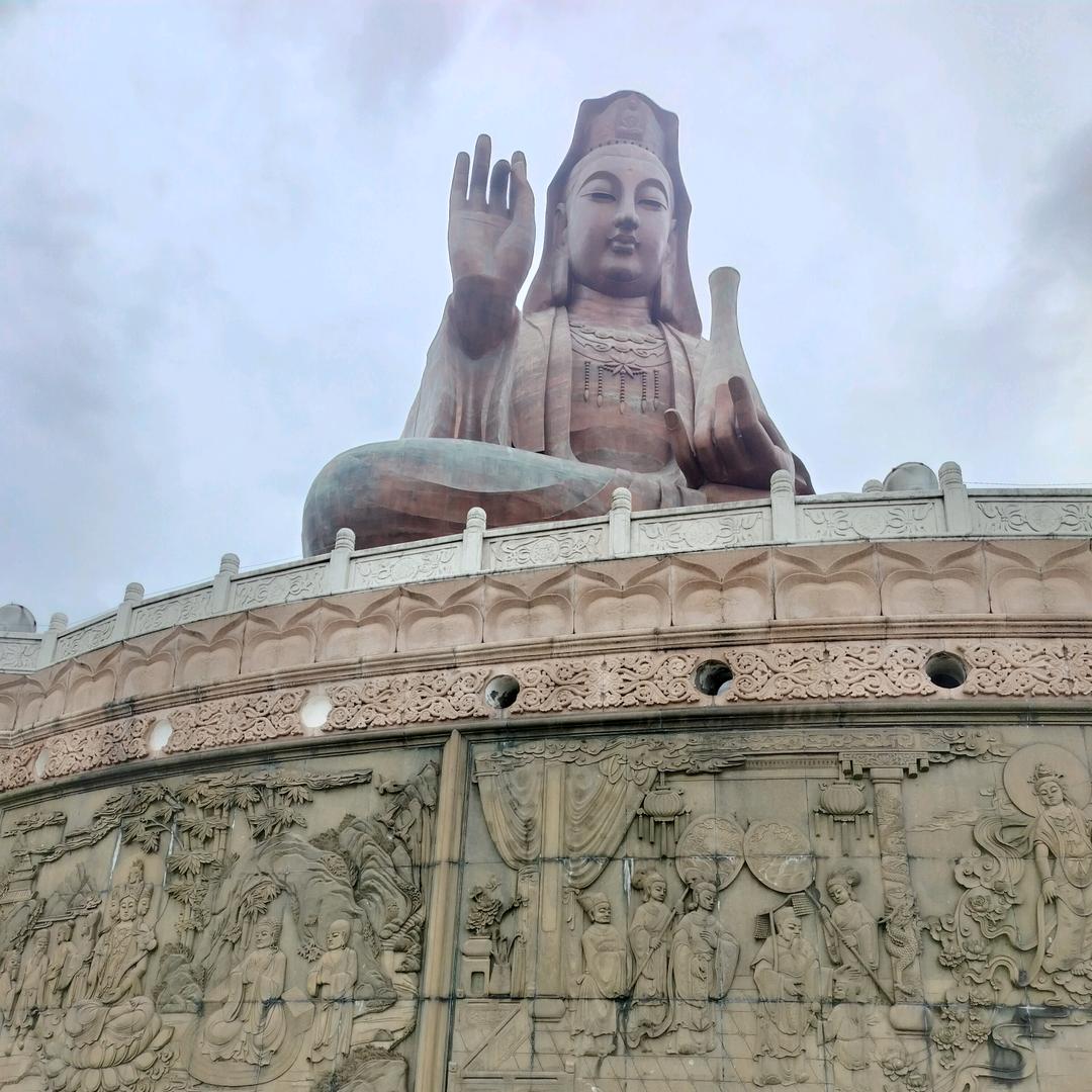 高歌生态土鸡养殖