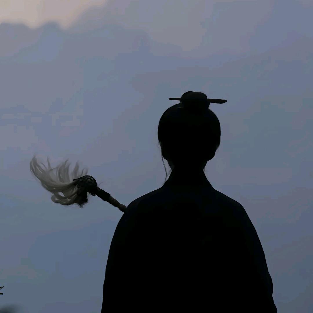 苏小沫的山河时光