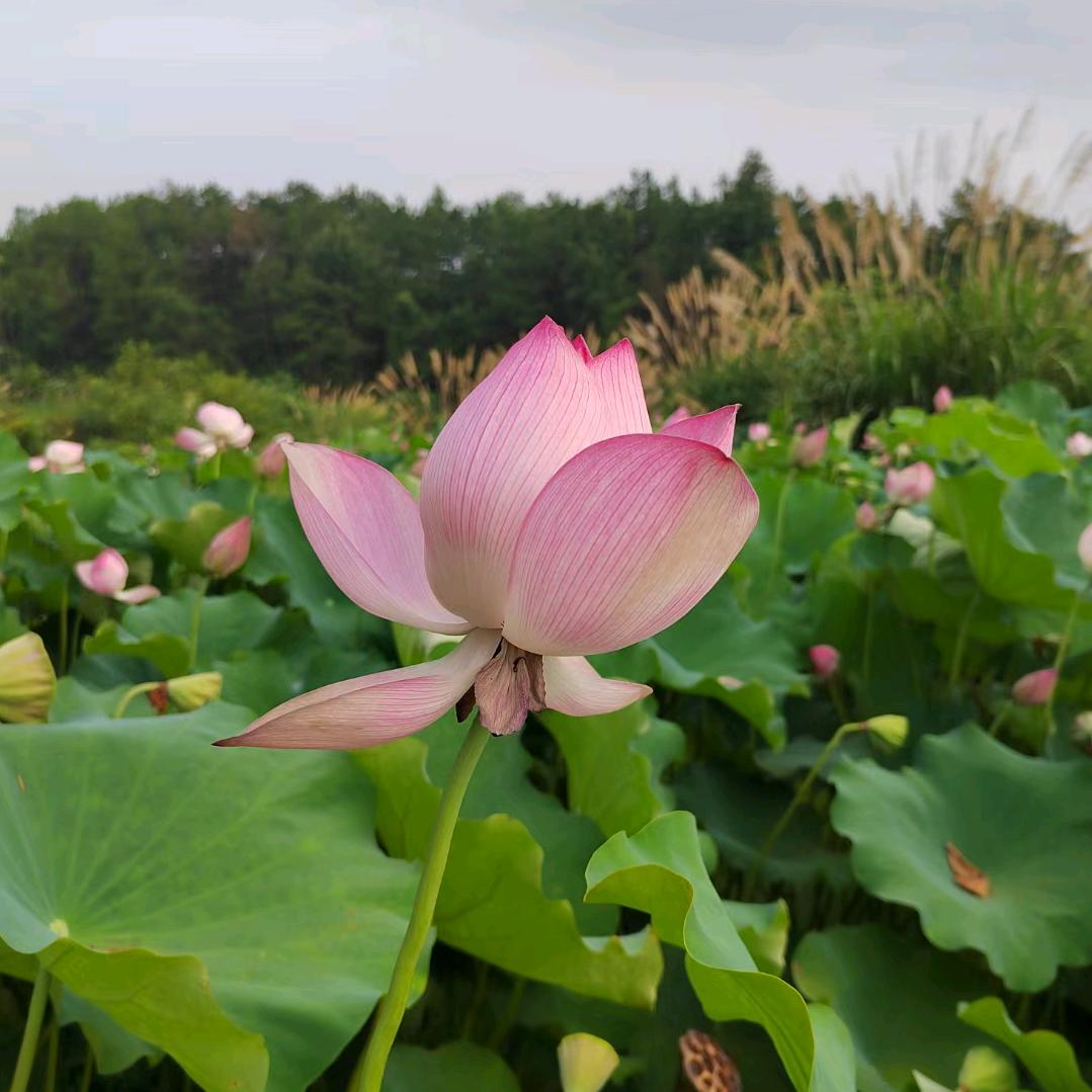 广漂的浪子