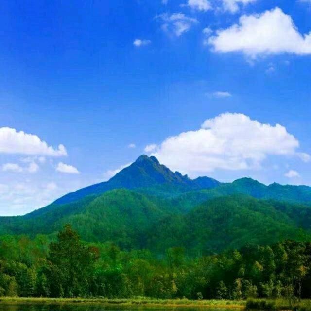 大鹏腾空往高飞