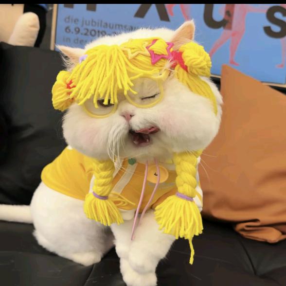 爱吃烤冷面.