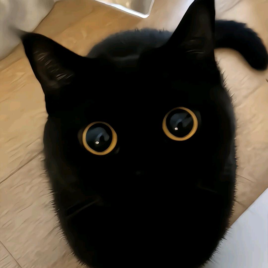 久违（国一澜差两万分）