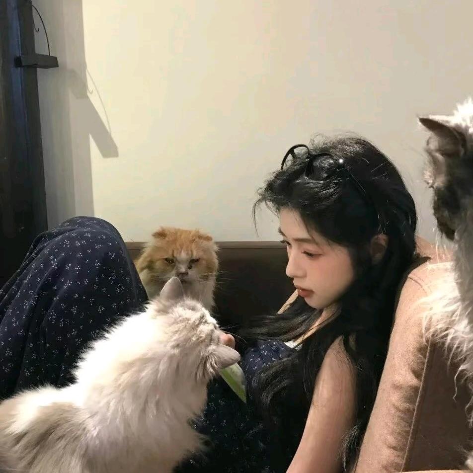 MingAi