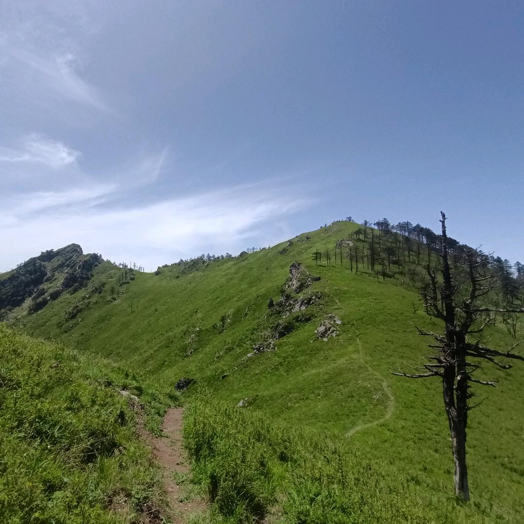 ℒᎭℯ⃟淡然💕