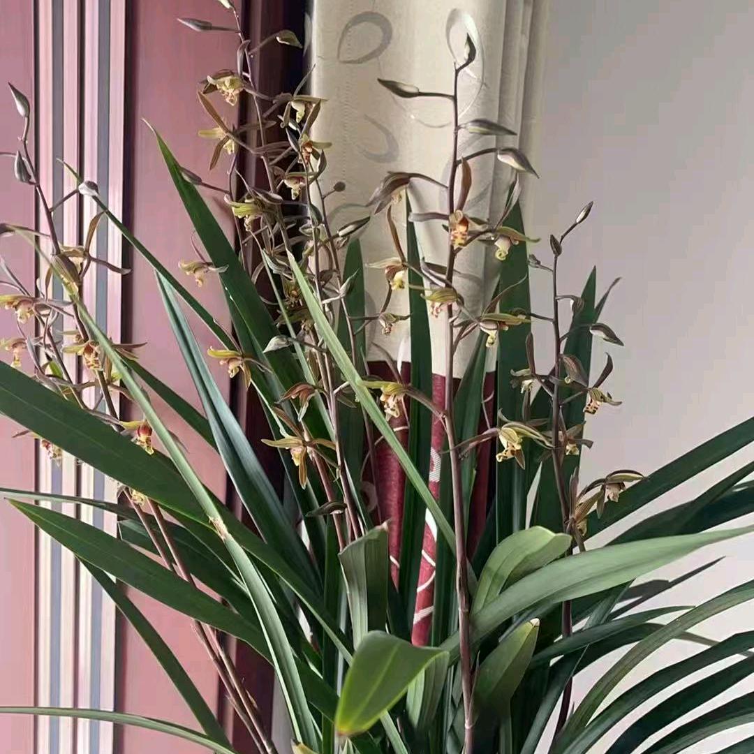 大爱
