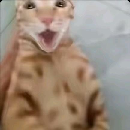 以北