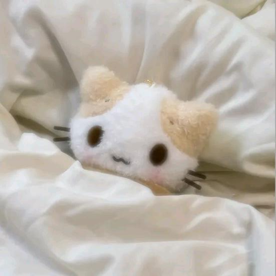 我将在今夜吻你