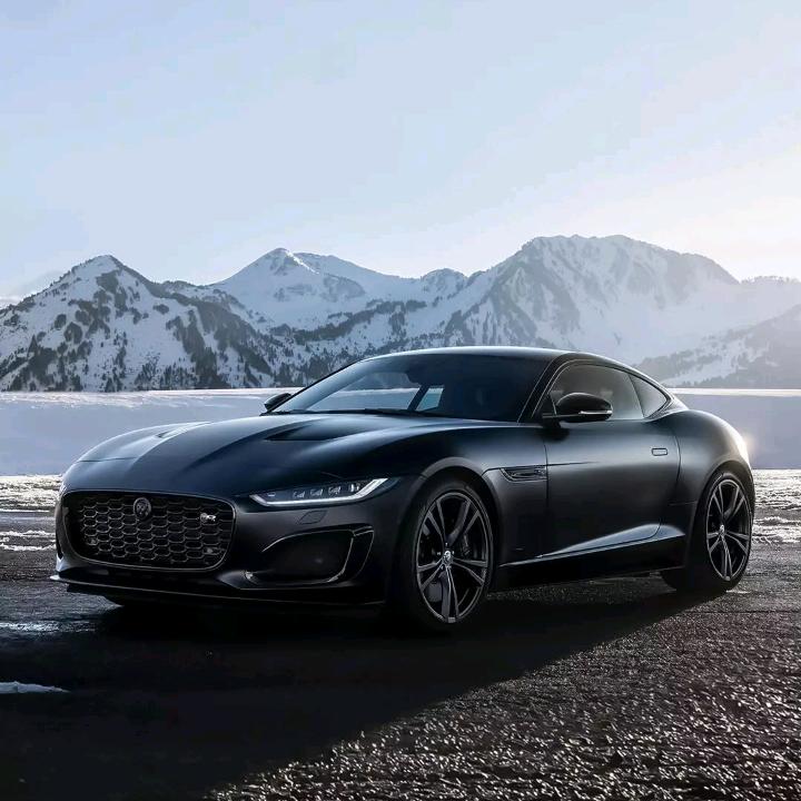 你有胸，我有弟，叫胸弟。