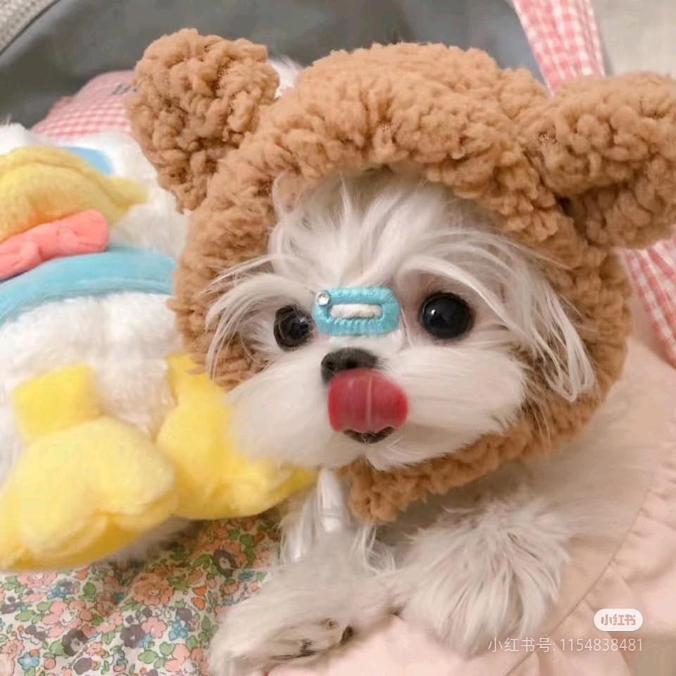 奶茶给我喝一口