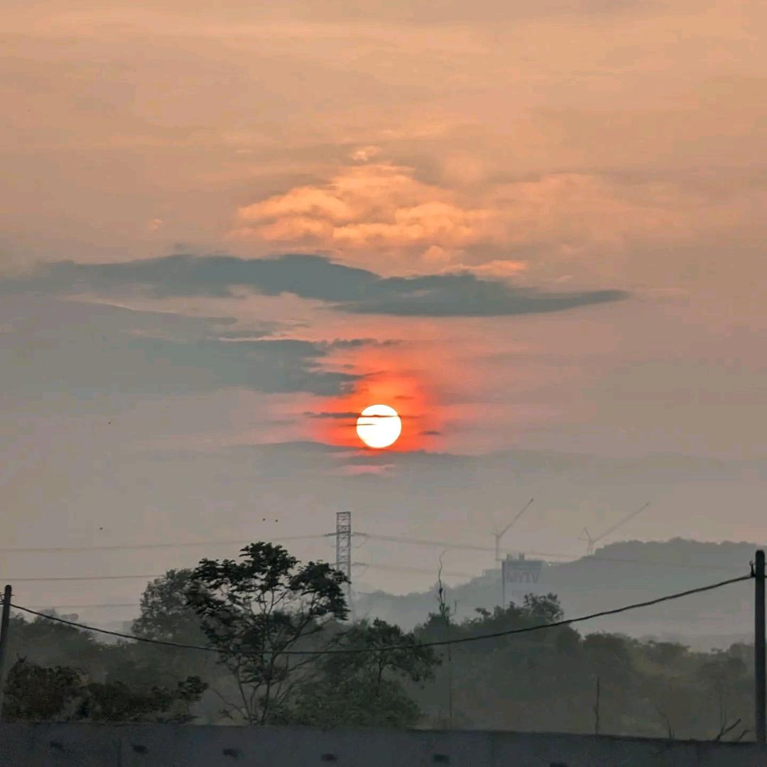 我在等风也等你