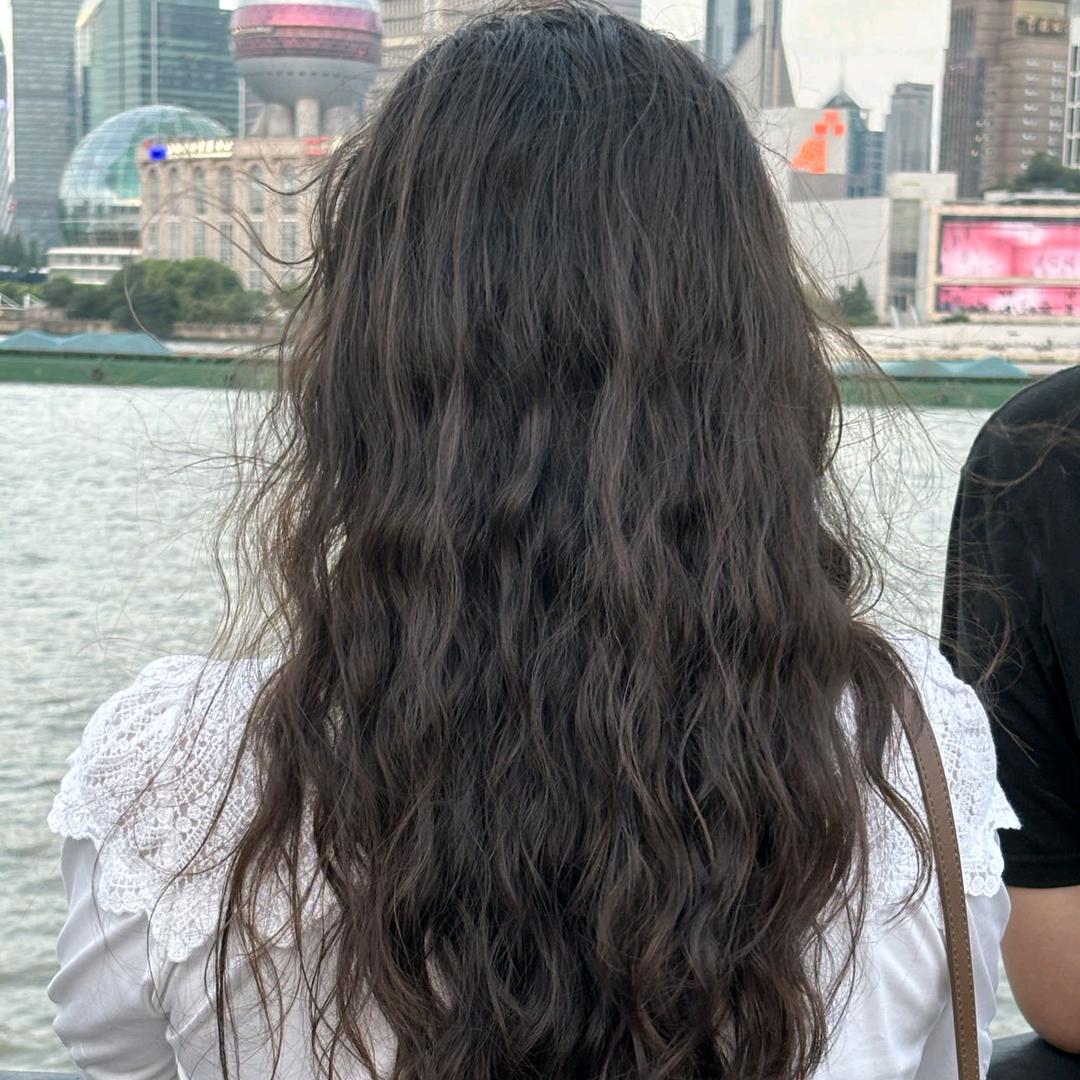 杨 杨