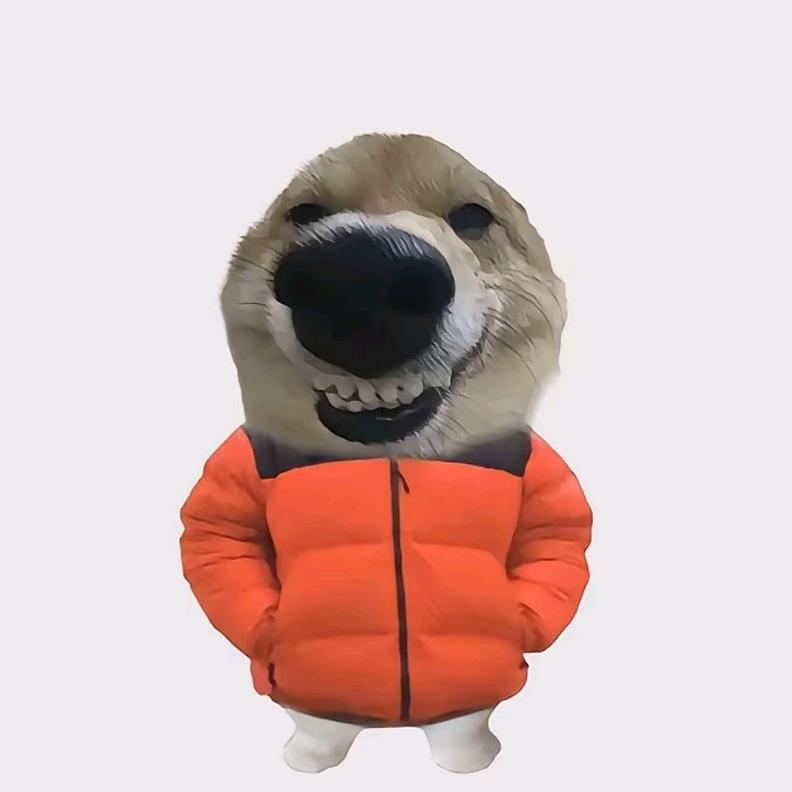 不吃香菜🍀～(见过战损版路易十六)