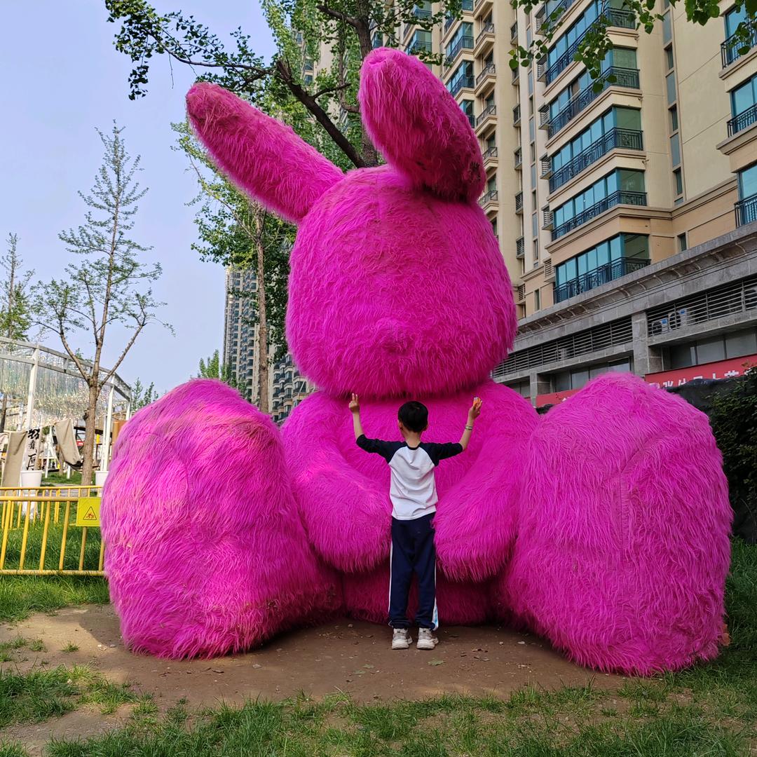 小雅的鸭梨故事（TK中视频）