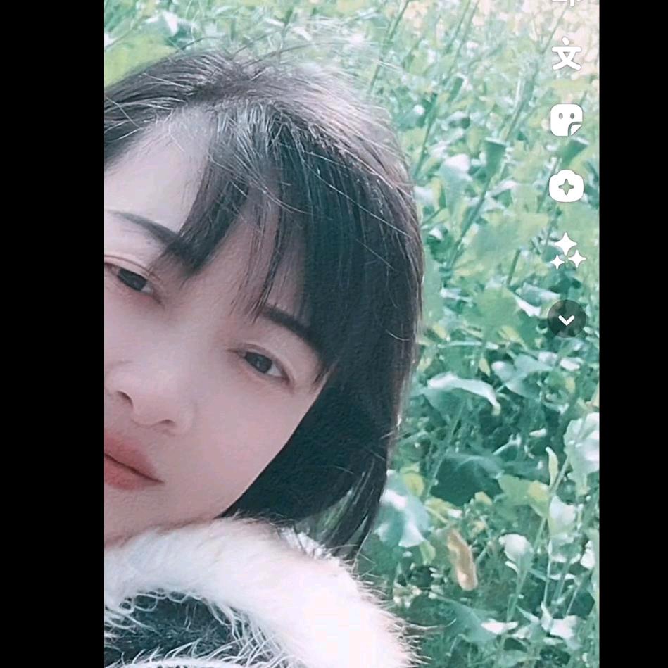 鱼儿单身